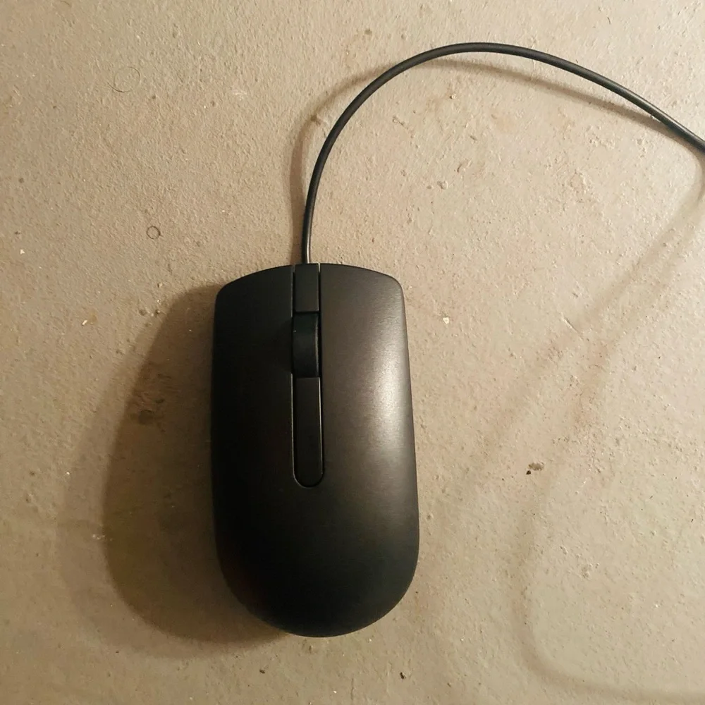 A mouse